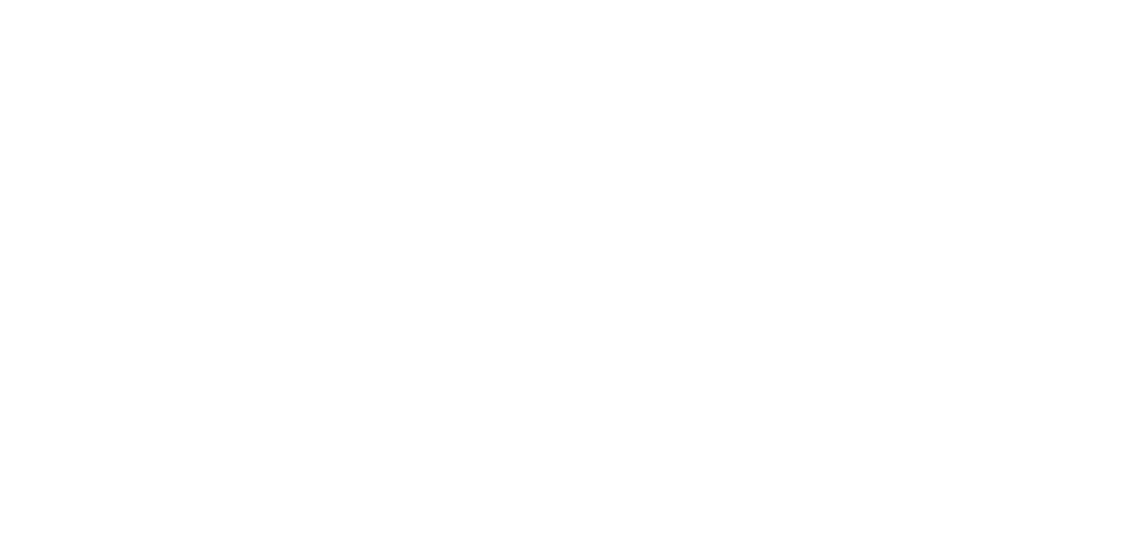 New-Torrent-2024
